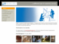 niceguyswithtools.com