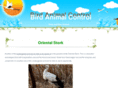 bird-animal-control.com