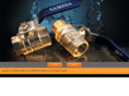 camegavalve.com