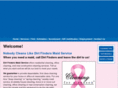 dirtfindersmaidserviceblog.com