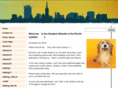 sntest2.com