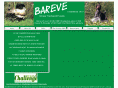 bareve.com