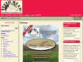 steedread.com
