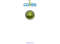 collexcompany.com