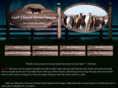 lastchancehorserescue.com