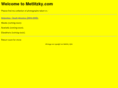metlitzky.com