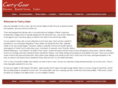 cwrt-y-gaer.co.uk