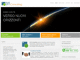dvfconsulting.info