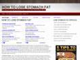 losestomachfatguide.com