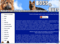 boss-bursztyn.com