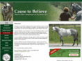 causetobelieve.ca