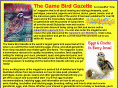 gamebird.com