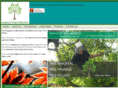 treesurgeonsmanchester.co.uk