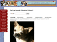 chihuahua-pictures.com