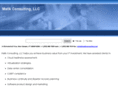 malikconsulting.net