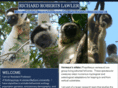 propithecus-verreauxi.com