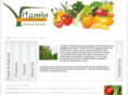 vitamintrading.com