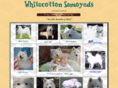 whitecottonsamoyeds.com