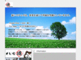 show-sys.com