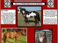 kkjperformancehorses.com