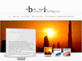 businessintelligence-solutions.com