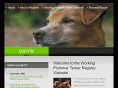 plummerterrier.org