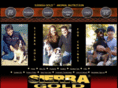 sierragoldhorses.com