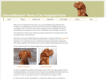 vizslahealth.net