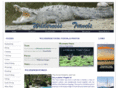 wildernesstravels.com
