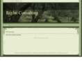 bigintconsulting.com