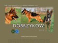dobrzykow.com