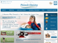 rochestercarpetcare.com