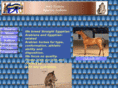 setistreasure.com