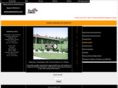 waverlyscotties.com