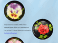 designsofglass.com