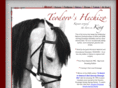 teodoroshechizo.com