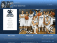 villaparkbasketball.com