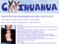 chihuahuagroom.com