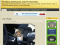 fullpets.com
