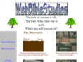 webbiblestudies.org