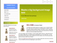 b2beshop.com