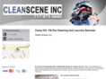cleanscenedrycleaners.com