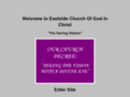 eastsidecogic.com