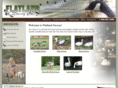 flatlanddecoy.com
