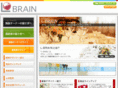 l-brain.net