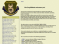 militaryantiquesandsurplus.com