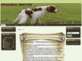 bretondicasatofoni.com