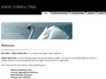 enosconsulting.com