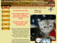 exoticshorthairs.com
