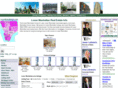 lowermanhattaninfo.com